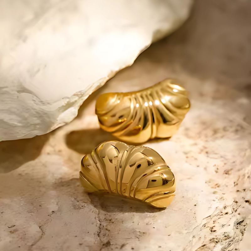 Elegante Glans Croissant Oorbellen - Jasmine